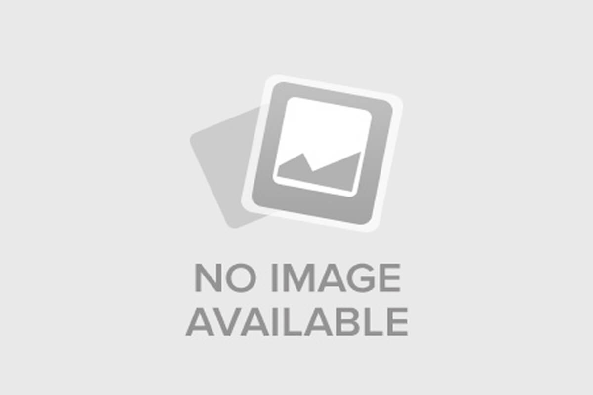 Дорогой Вилли (2025)